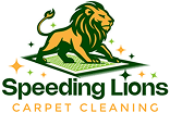 Speeding lions carpet cleaning